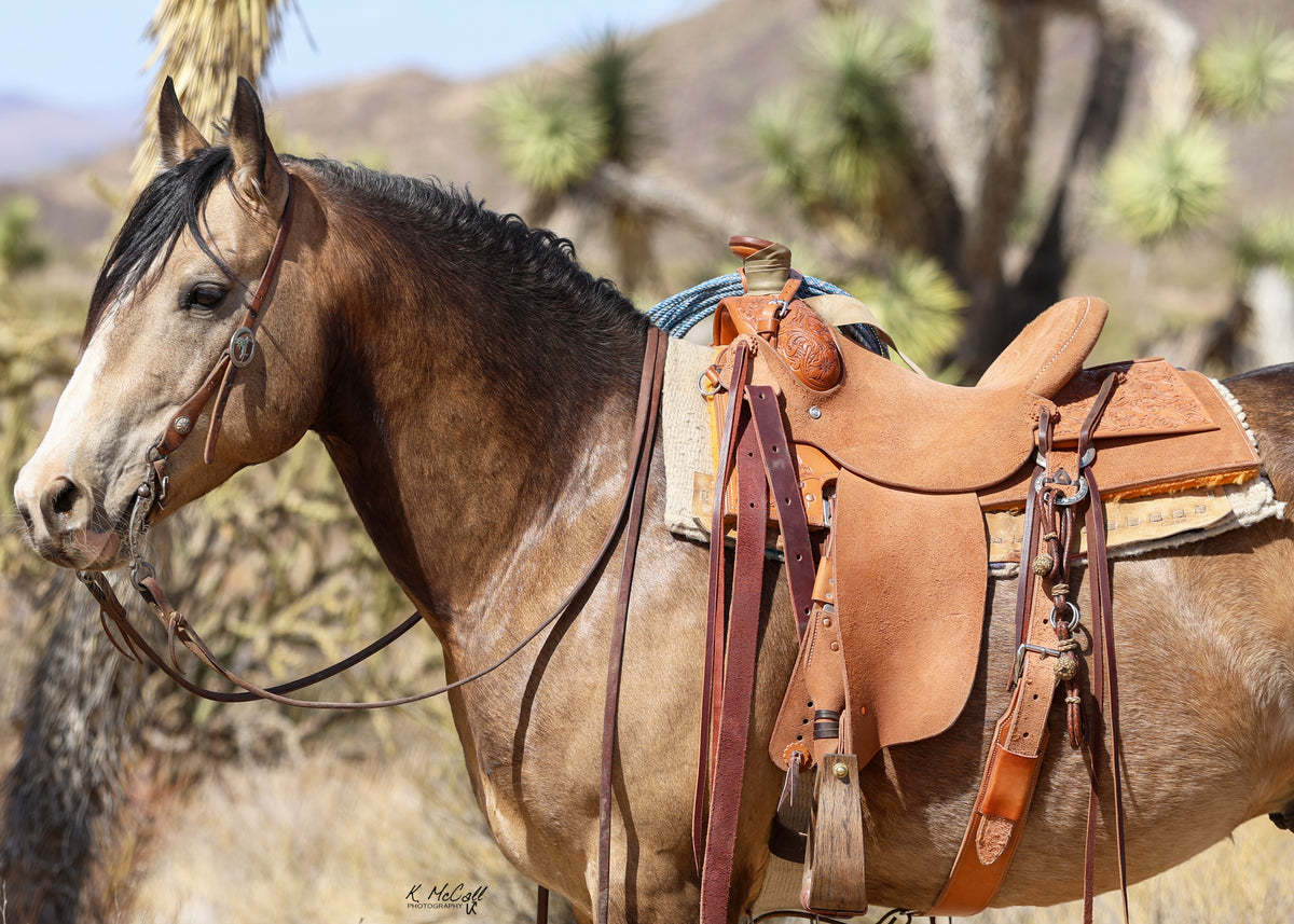 Handmade Saddle