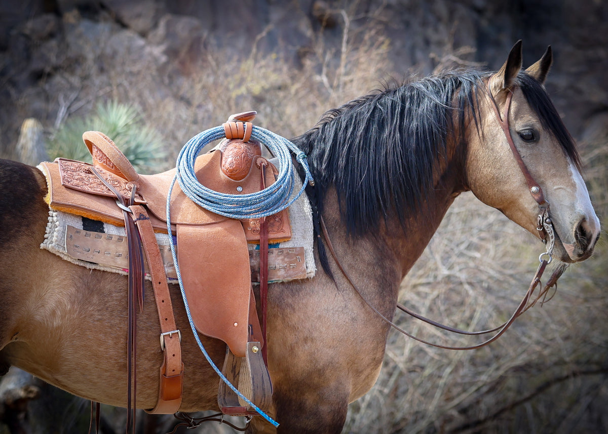 Handmade Saddle