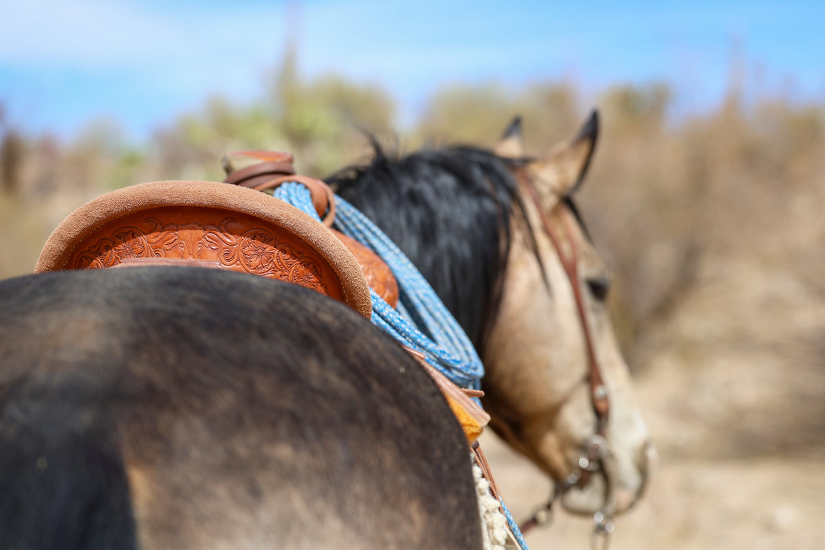 Handmade Saddle